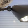 TL32 "Luna" Tree & Down Light - Image 4